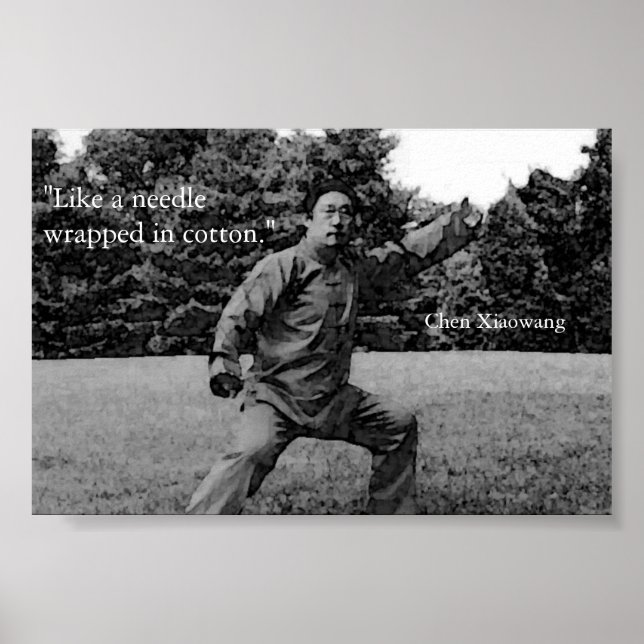 Taiji Poster (Vorne)