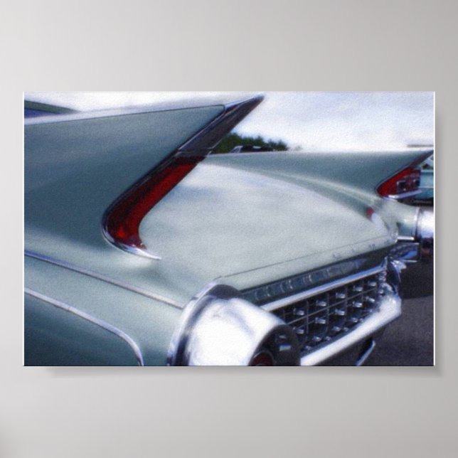 Tail Fins Poster (Vorne)