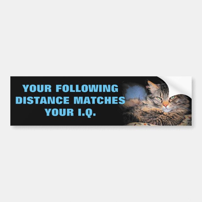 Tailgaters IQ? Selben wie nach Abstand CAT Meme Autoaufkleber (Vorne)