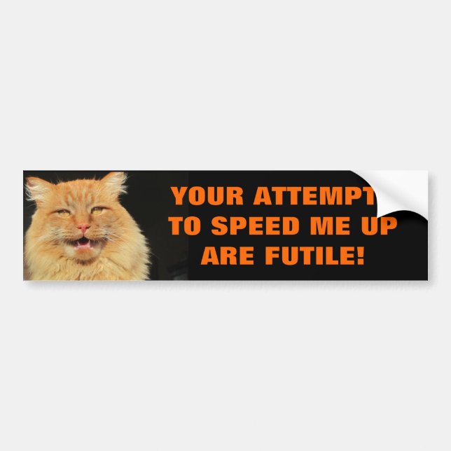 Tailgaters Versuche sind vergebliche Katze Meme Autoaufkleber (Vorne)