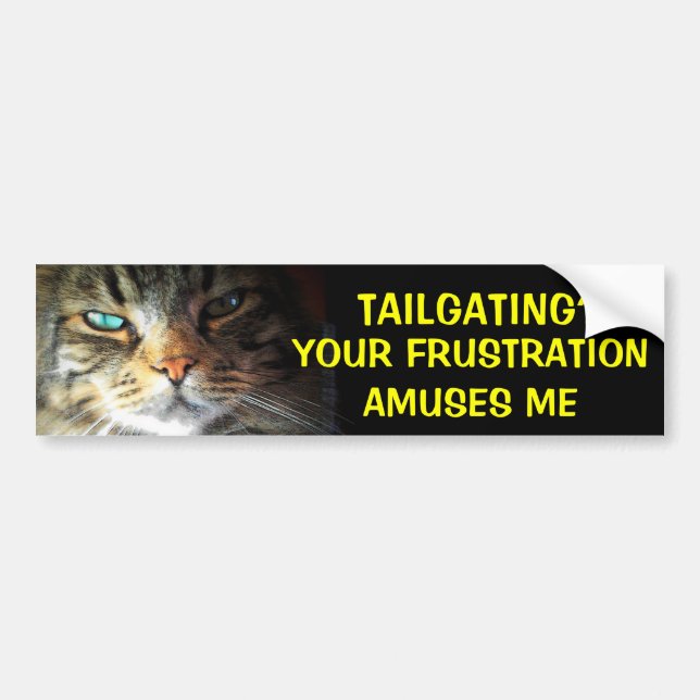 Tailgating? Ihre Frustration unterhält Stoßkatze Autoaufkleber (Vorne)