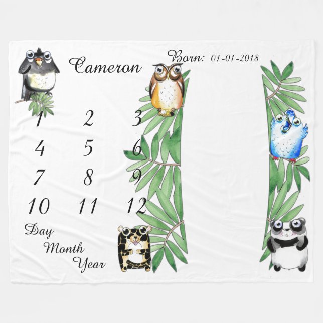 Taille 80 x 60 de couverture d'étape importante de (Devant (Horizontal))