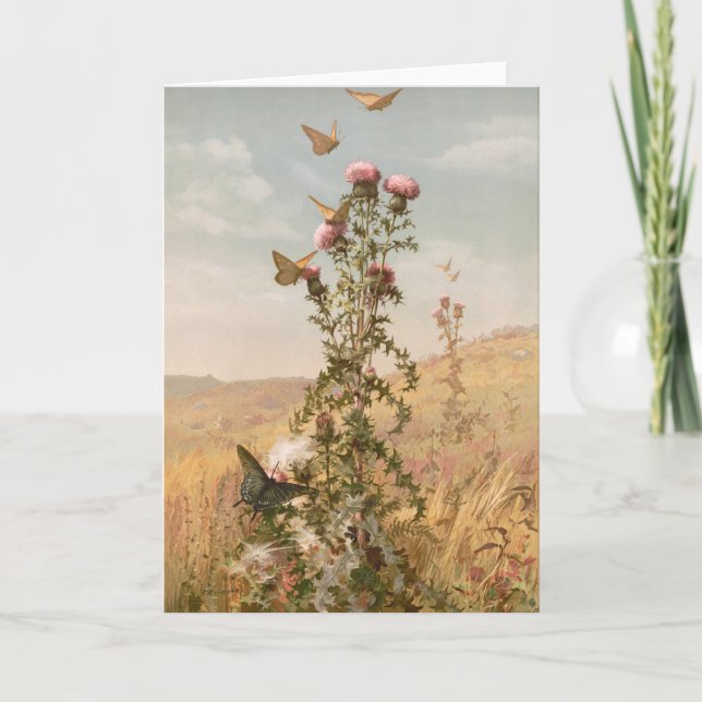 Taille | Fidelia Bridges Karte (Vorderseite)