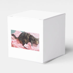 Tailor Dave Favor Box Geschenkschachtel