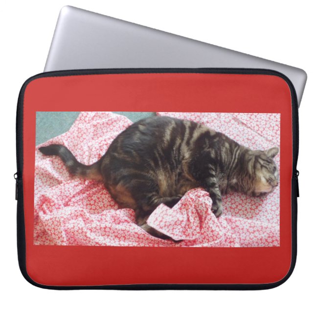 Tailor Dave Neoprene Laptop Sleeve (Vorderseite)
