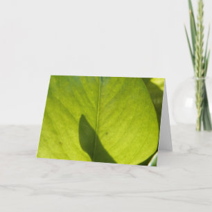 Taiwan Flora Leaf Karte