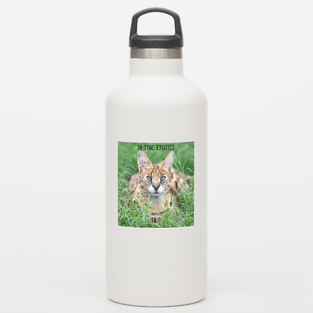 Taji - aufkleber (Wassserflasche)