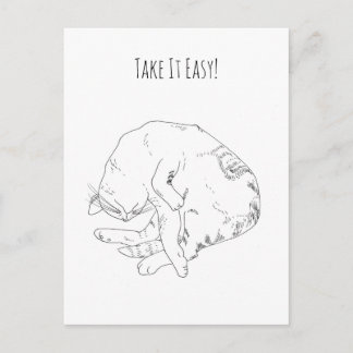 Take It Easy — Minimalistische schlafende Katze Postkarte