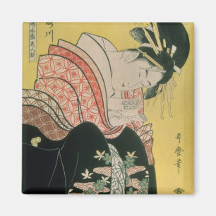 Takigawa vom Teehaus, Ogi Magnet