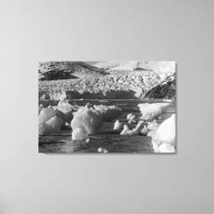 Taku Gletscher nahe Juneau, Alaska Fotografie 2 Leinwanddruck