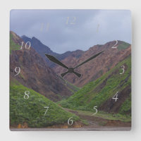 Tal am Toklat-Fluss Denali