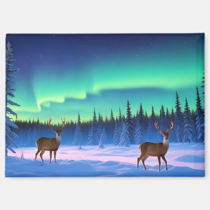 Tal Landschaft Panoramasicht Natur Stille Aurora Magnet