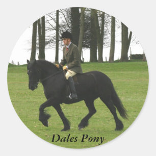 Tal-Pony-Aufkleber Runder Aufkleber