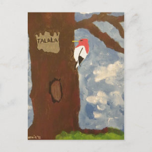 Talala Red-Headed Woodpecker Postcard Postkarte