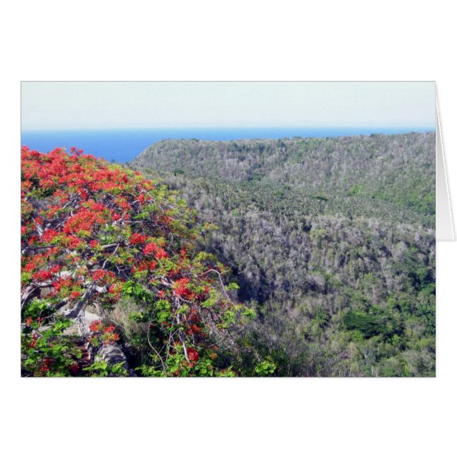 Talbacunayagua (Vorderseite (Horizontal))