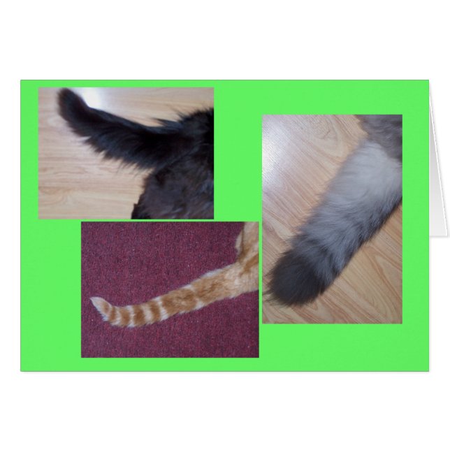 Tales (Vorderseite (Horizontal))