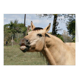 Talingpferd