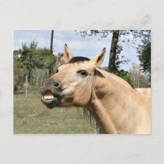 Talingpferd Postkarte