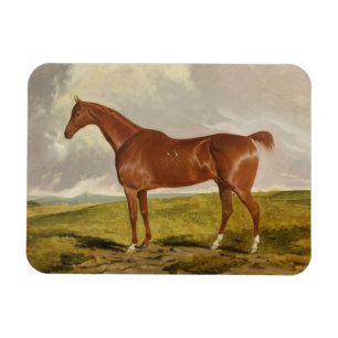 Talisman, c.1840 magnet