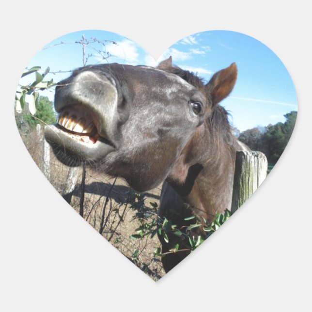 Talking Brown Horse Herz-Aufkleber (Vorderseite)