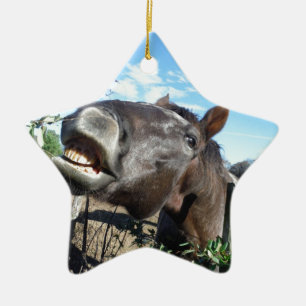 Talking Brown Horse Keramik Ornament