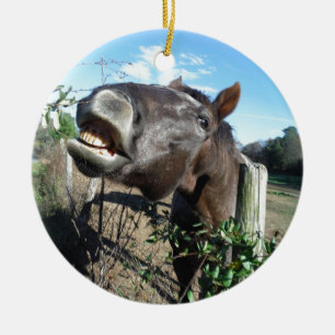 Talking Brown Horse Keramikornament