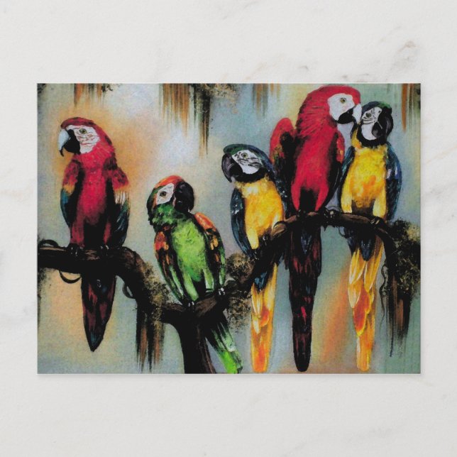 Talking Parrots ~ Postcard Bird Nature Wild Postkarte (Vorderseite)