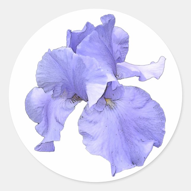 Tall Bearded Lila Iris Runder Aufkleber (Vorderseite)