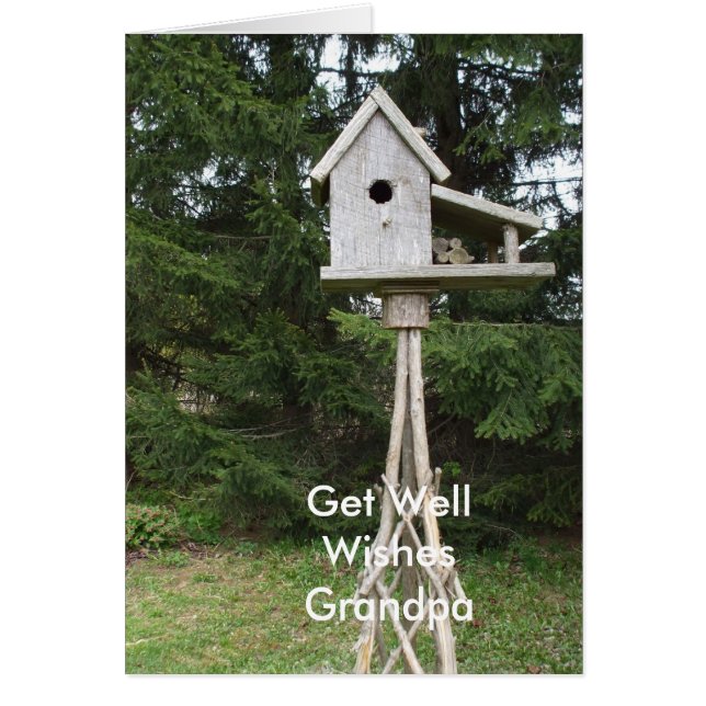 - Tall Bird House (Vorne)