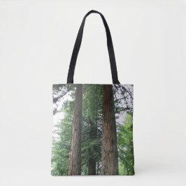 Tall Coastal Redwood Trees Tasche