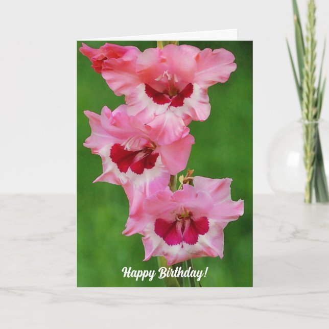 Tall Gladiolus Pink Blume Floral Geburtstagskarte Karte (Vorderseite)