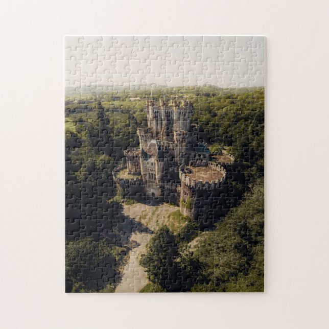 Tall Gray Stone Castle in Wooded Ireland (Vertikal)