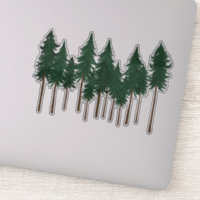 Tall Pine Trees Forest