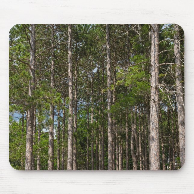Tall Pines Mousepad (Vorne)
