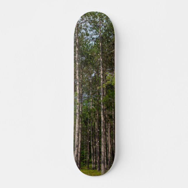 Tall Pines Skateboard (Vorne)