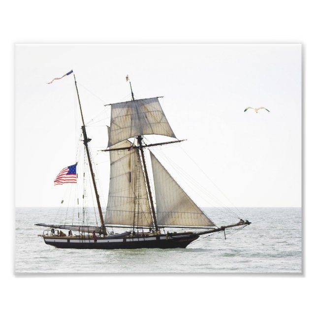 Tall Ship Lynx Fotodruck (Vorne)