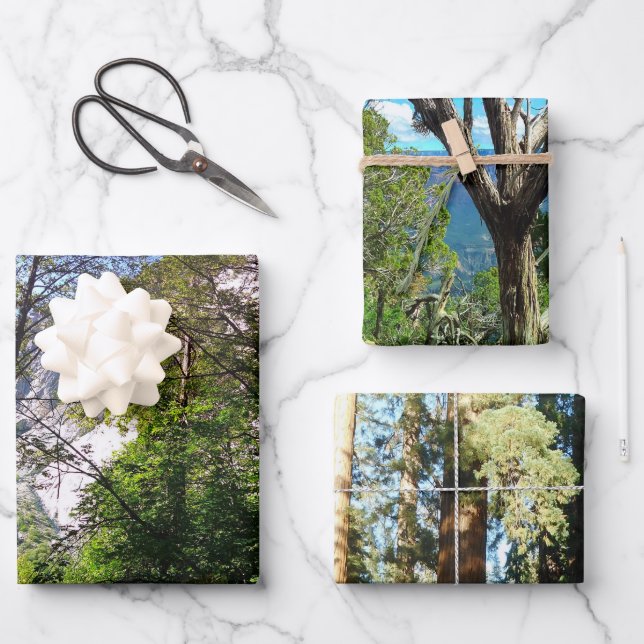 Tall Trees Decorative Decoupage Hochwertige Trias Geschenkpapier Set (Vorderseite)