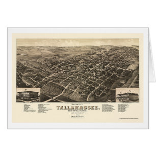 Tallahassee, carte panoramique de FL - 1885