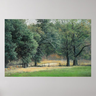 Tallahassee fields 1 poster