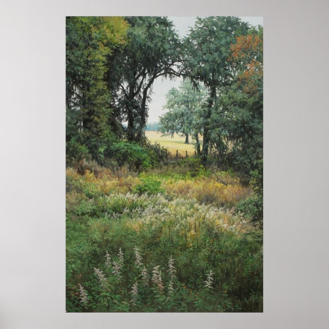 Tallahassee Fields 2 Poster (Vorne)