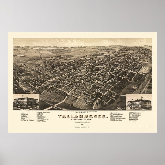 Tallahassee, FL Panorama Karte - 1885 Poster (Vorne)