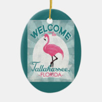 Tallahassee Florida Pink Flamingo Retro
