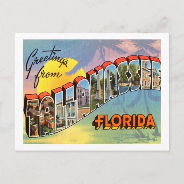 Tallahassee Florida Postcard Postkarte (Vorderseite)