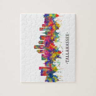 Tallahassee USA Skyline