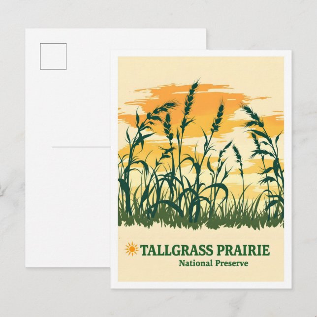 Tallgrass Prairie National Preserve Kansas Travel Postkarte (Vorne/Hinten)