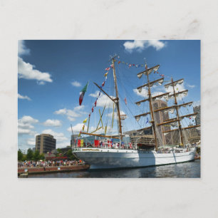 Tallships in Baltimore Postkarte