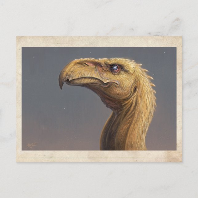 Talon's Head - Postcard Postkarte (Vorderseite)