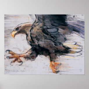 Talons - Weiß angebundenes Meer Eagle 2001 Poster