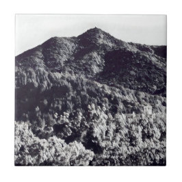 Tamalpais Keramik Tile Fliese