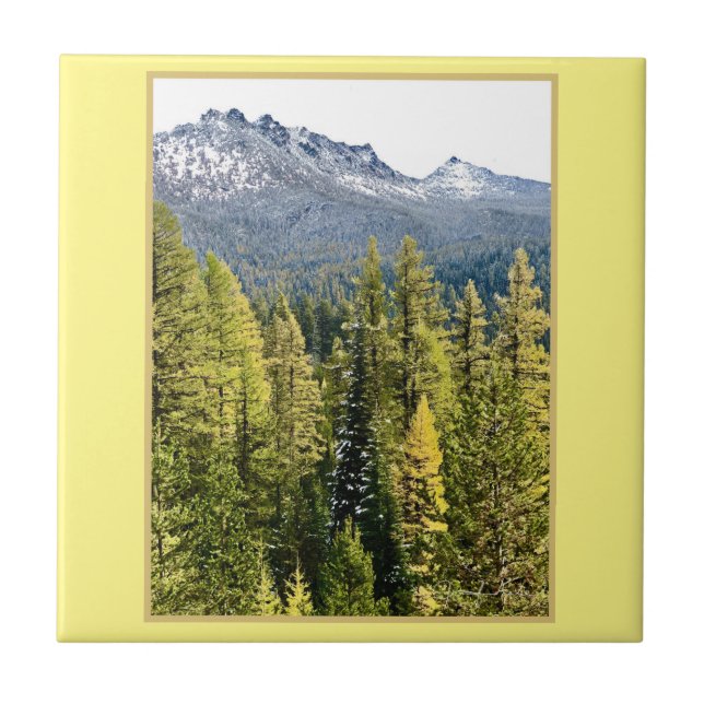 Tamarack Gold Fliese (Vorderseite)